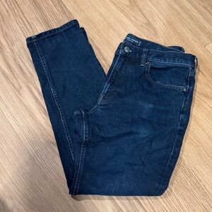 Everlane Blue Slim Jeans